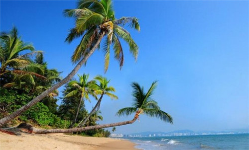 康堂客锅巴饭拌饭