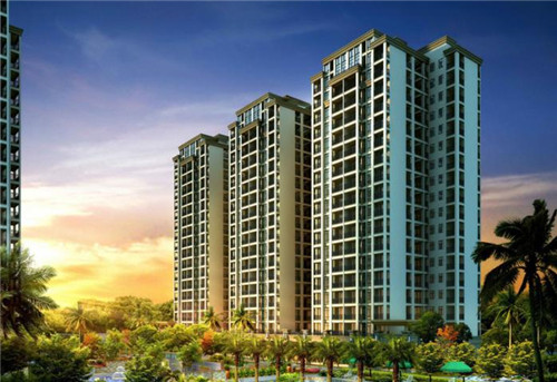 洛大叔炒鸡大盘鸡