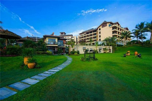 三刀日式分子料理