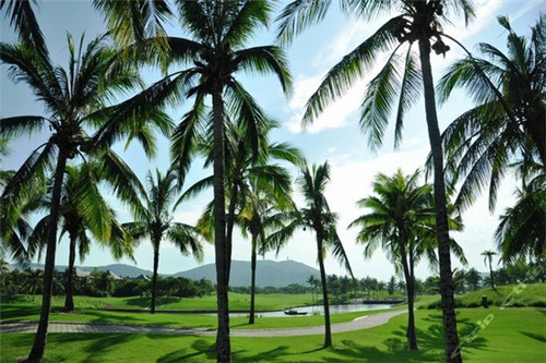 重庆港堡汉堡加盟费多少钱，港堡汉堡加盟费多少钱,全程扶持开店!