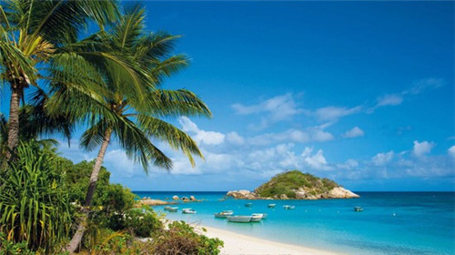 风味铁板加盟费多少