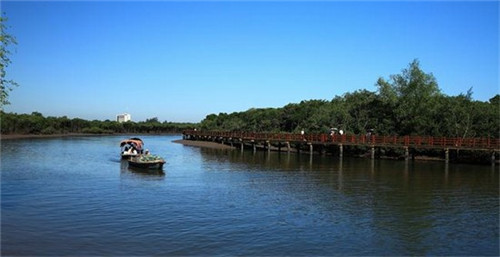 流食烂面条的家常做法（流食烂面条的家常做法视频）