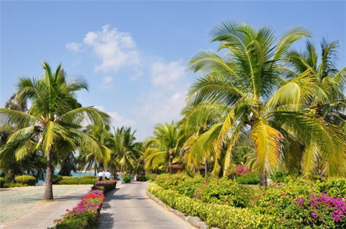 物业门禁卡属于什么（物业卡门禁卡）