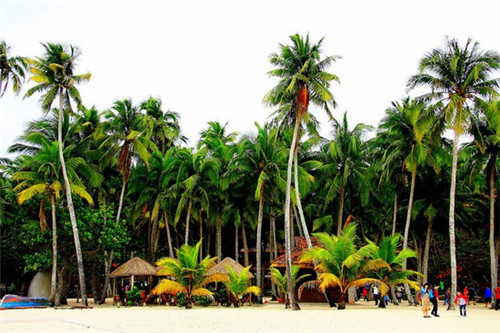 浩字的同音字取名字哪个好（浩同音字有属金的吗）