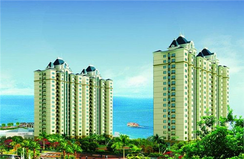 菠菜公司是什么意思（菠菜公司是啥）