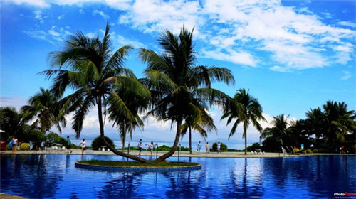 雍云邸房价走势预测（雍云邸房价走势预测分析）